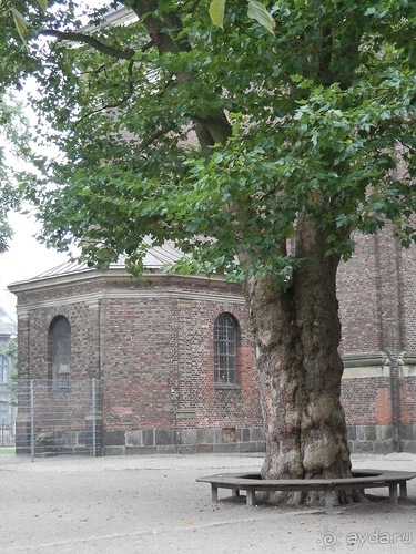 Копенгаген, утро первого дня