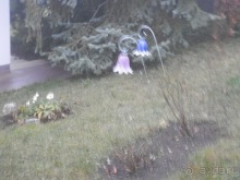 Баден - замок Раухенштайн, улицы, и немного Вены