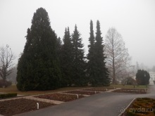 Баден - замок Раухенштайн, улицы, и немного Вены