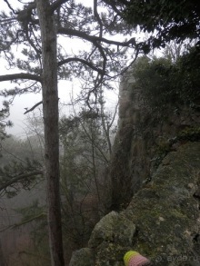 Баден - замок Раухенштайн, улицы, и немного Вены