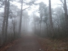 Баден - замок Раухенштайн, улицы, и немного Вены