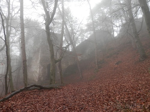 Альбом отзыва "Баден - замок Раухенштайн, улицы, и немного Вены"