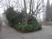 Баден - замок Раухенштайн, улицы, и немного Вены