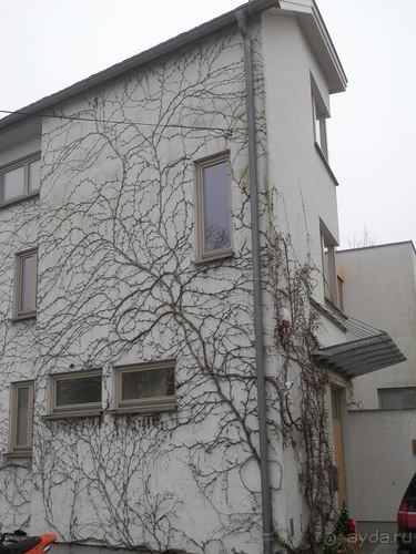 Баден - замок Раухенштайн, улицы, и немного Вены