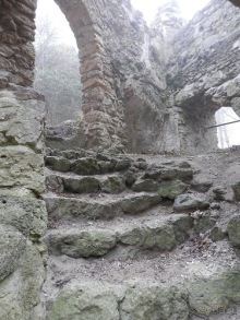 Баден - замок Раухенштайн, улицы, и немного Вены