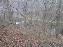 Баден - замок Раухенштайн, улицы, и немного Вены