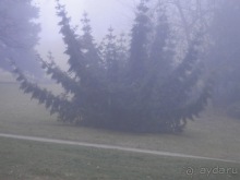 Баден - замок Раухенштайн, улицы, и немного Вены