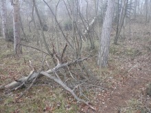 Баден - замок Раухенштайн, улицы, и немного Вены