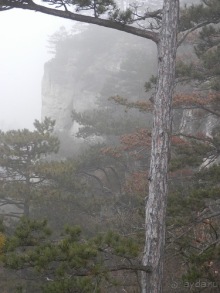 Баден - замок Раухенштайн, улицы, и немного Вены