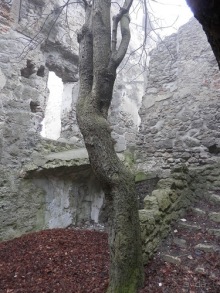 Баден - замок Раухенштайн, улицы, и немного Вены