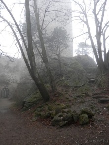 Альбом отзыва "Баден - замок Раухенштайн, улицы, и немного Вены"