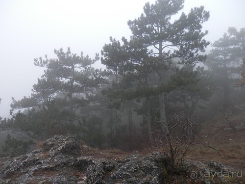 Баден - замок Раухенштайн, улицы, и немного Вены