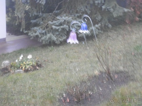 Баден - замок Раухенштайн, улицы, и немного Вены