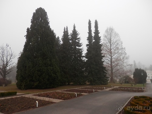 Баден - замок Раухенштайн, улицы, и немного Вены