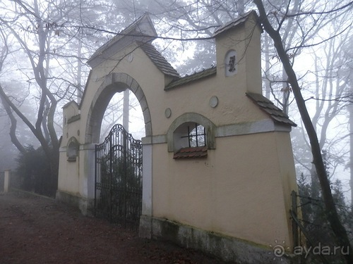 Баден - замок Раухенштайн, улицы, и немного Вены