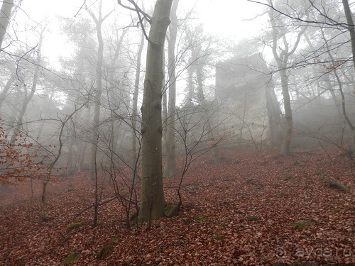 Баден - замок Раухенштайн, улицы, и немного Вены