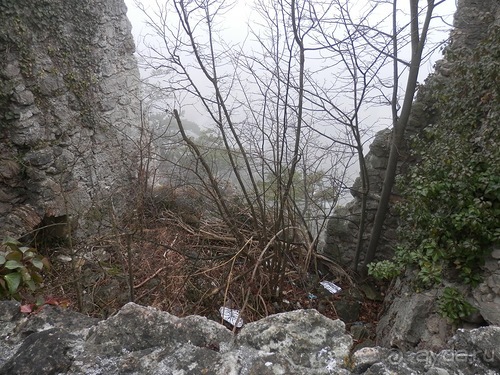 Баден - замок Раухенштайн, улицы, и немного Вены