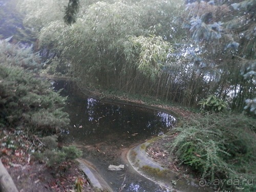 Баден - замок Раухенштайн, улицы, и немного Вены