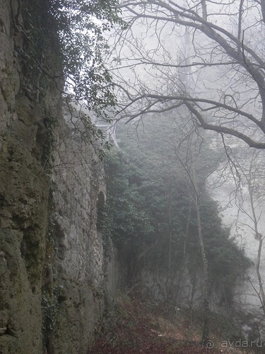 Баден - замок Раухенштайн, улицы, и немного Вены