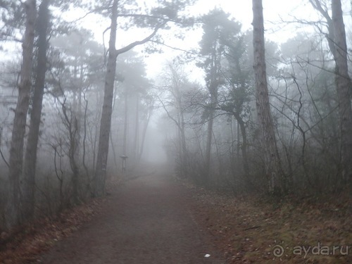 Баден - замок Раухенштайн, улицы, и немного Вены