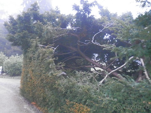 Баден - замок Раухенштайн, улицы, и немного Вены