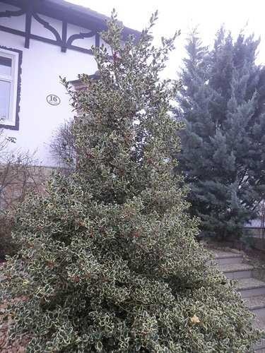 Баден - замок Раухенштайн, улицы, и немного Вены