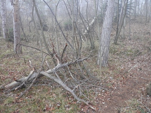 Баден - замок Раухенштайн, улицы, и немного Вены