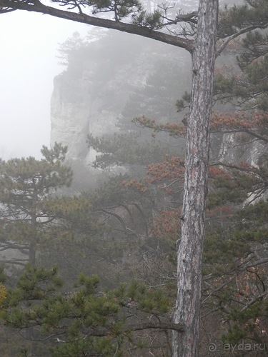 Баден - замок Раухенштайн, улицы, и немного Вены