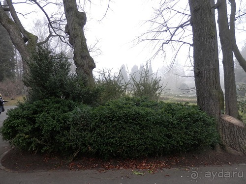 Баден - замок Раухенштайн, улицы, и немного Вены