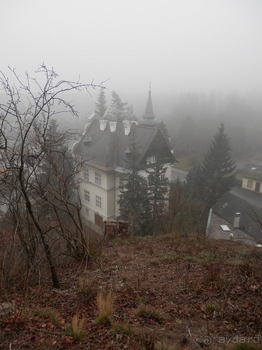 Баден - замок Раухенштайн, улицы, и немного Вены