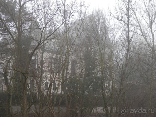 Баден - замок Раухенштайн, улицы, и немного Вены