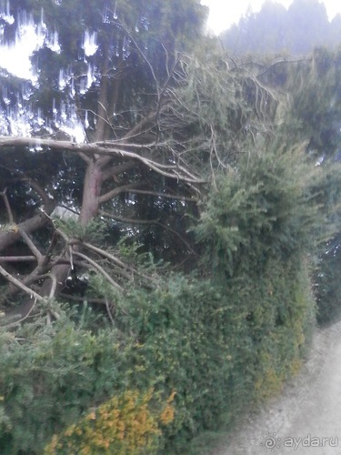 Баден - замок Раухенштайн, улицы, и немного Вены