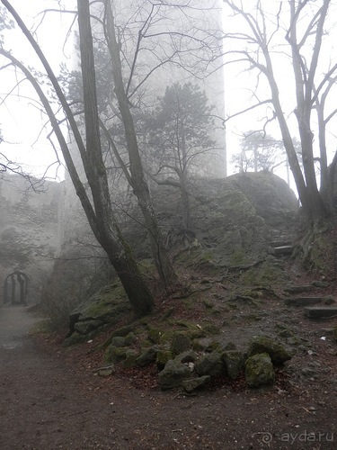 Баден - замок Раухенштайн, улицы, и немного Вены