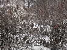 Нижний Новгород, окончание