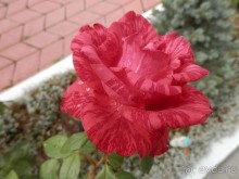 Из Ялты на подводную базу в Балаклаве