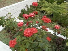 Из Ялты на подводную базу в Балаклаве