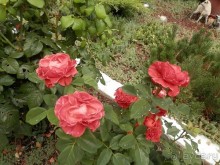 Из Ялты на подводную базу в Балаклаве