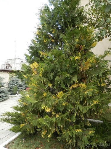 Из Ялты на подводную базу в Балаклаве