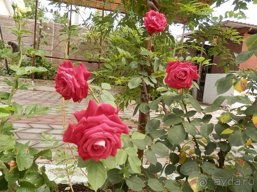 Из Ялты на подводную базу в Балаклаве