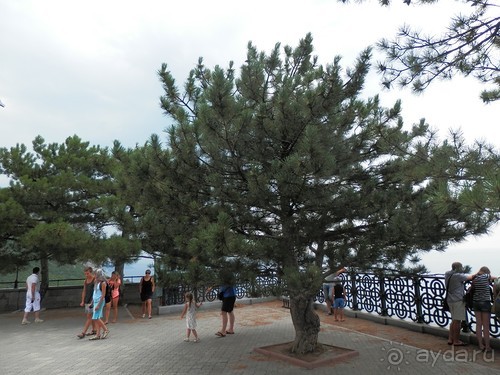 Из Ялты на подводную базу в Балаклаве