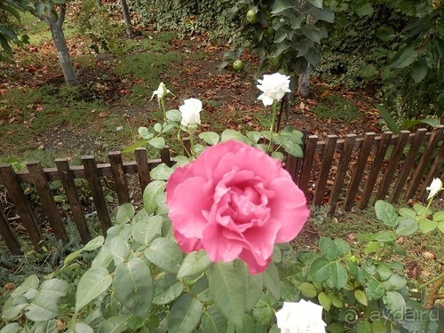 Из Ялты на подводную базу в Балаклаве