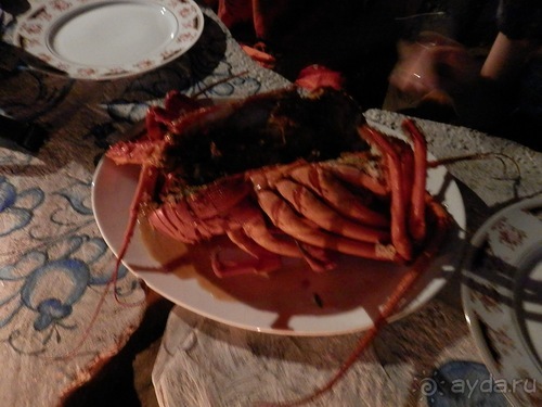 Прекрасное море Шри-Ланки