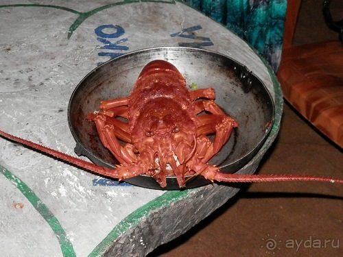 Прекрасное море Шри-Ланки