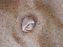 Прекрасное море Шри-Ланки