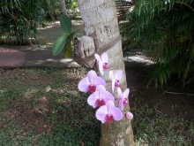 Прекрасное море Шри-Ланки