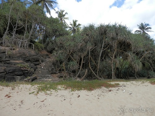 Прекрасное море Шри-Ланки