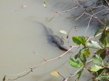 Прекрасное море Шри-Ланки