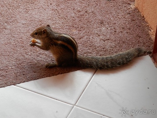 Прекрасное море Шри-Ланки