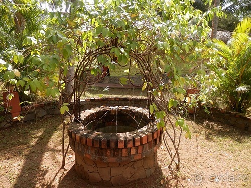 Прекрасное море Шри-Ланки