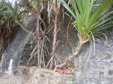 Прекрасное море Шри-Ланки